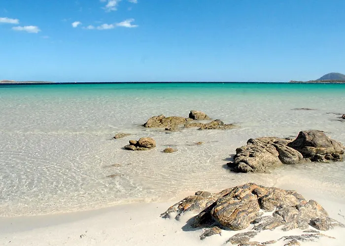 Mare 8 By Interhome Appartamento