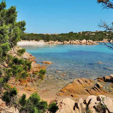 Apartment Mare 8 By Interhome