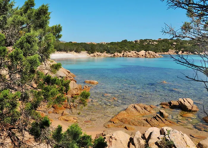 Apartment Mare 8 By Interhome